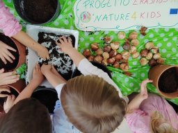 Plantacion-Bulbos-Tulipanes-ProyectoErasmus+Nature for kids-a-Taviano